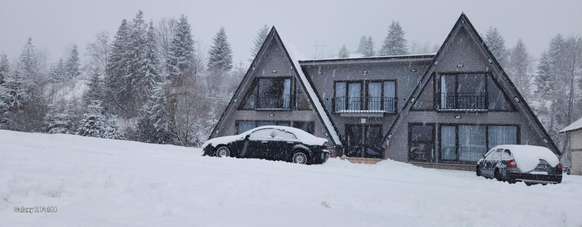Cabana Din Vale Arieseni Apuseni Exterior foto