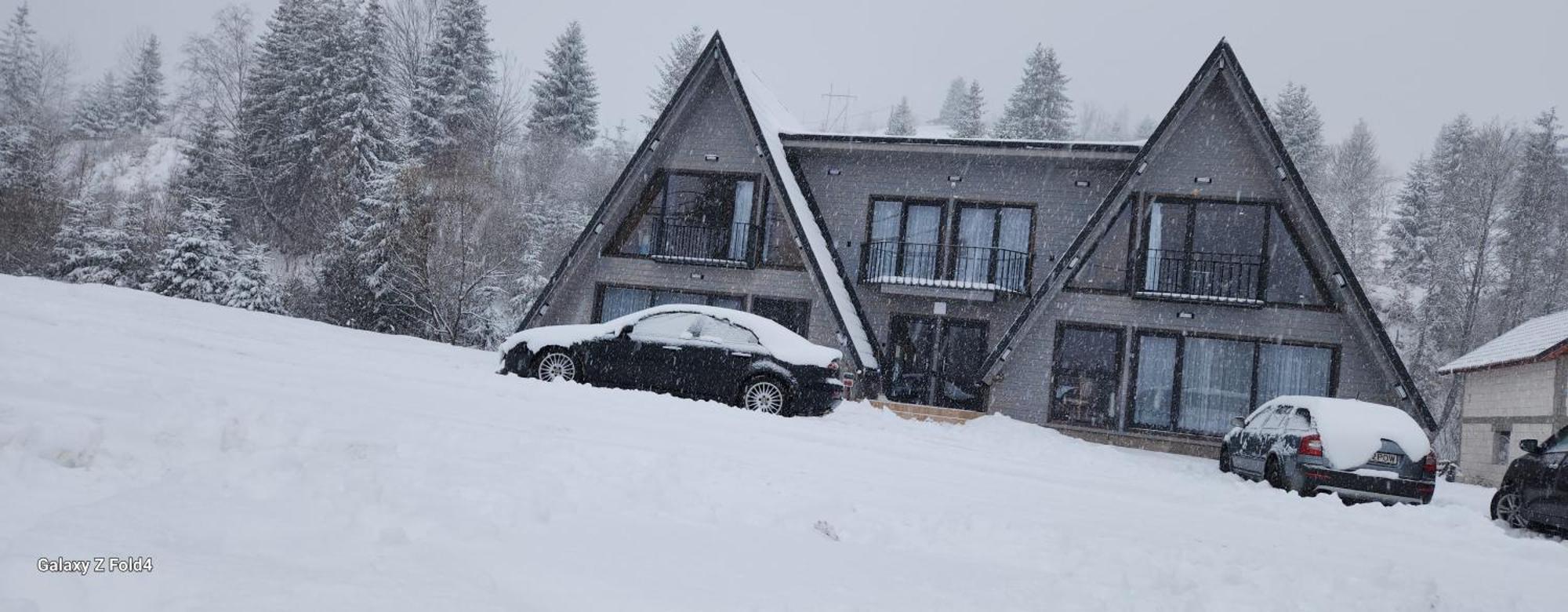 Cabana Din Vale Arieseni Apuseni Exterior foto