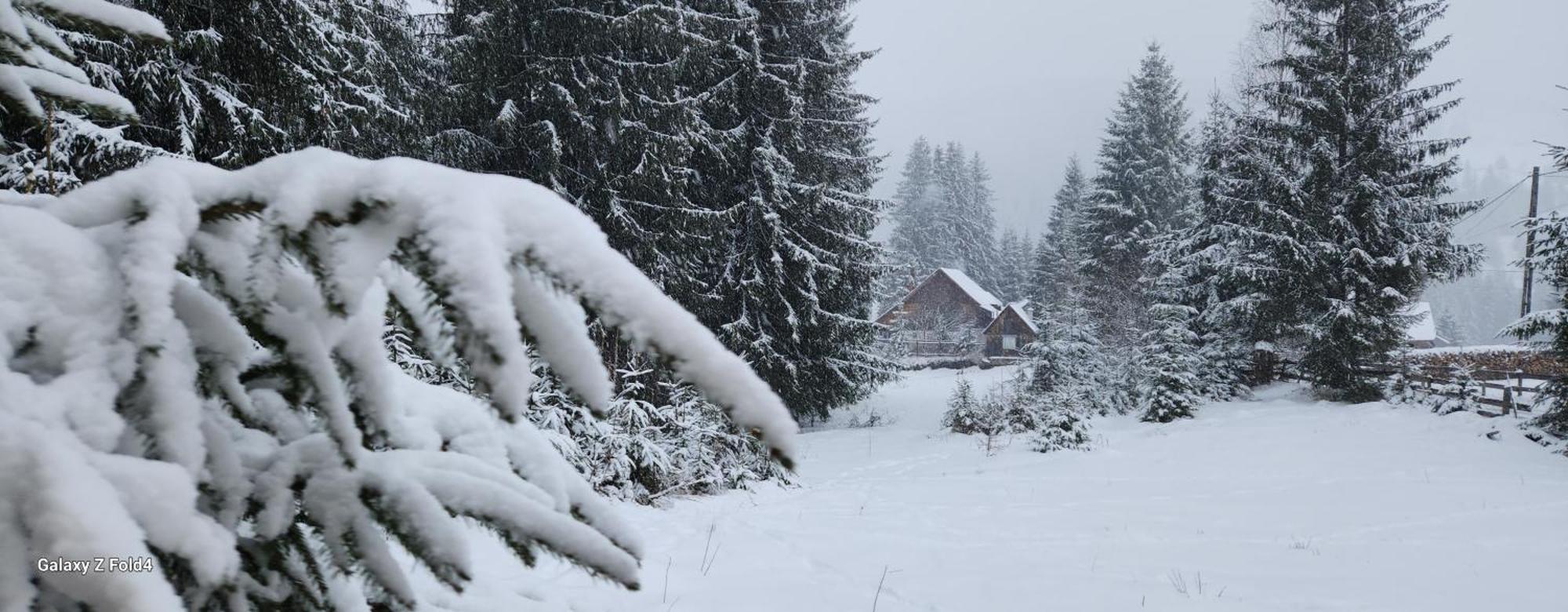 Cabana Din Vale Arieseni Apuseni Exterior foto