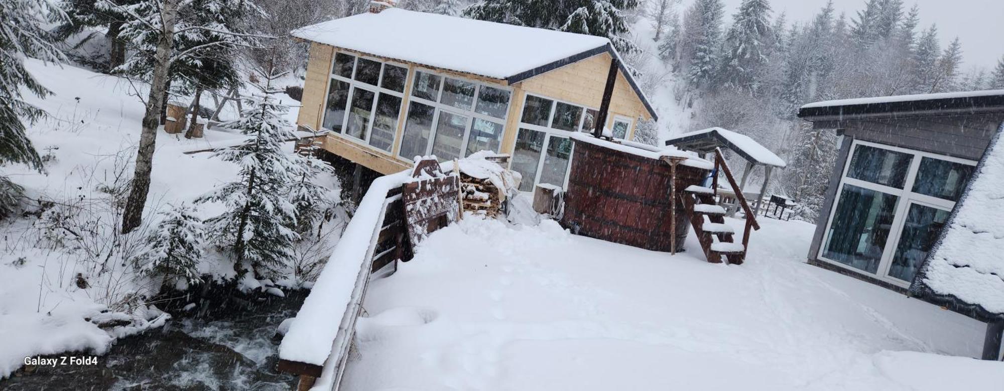 Cabana Din Vale Arieseni Apuseni Exterior foto