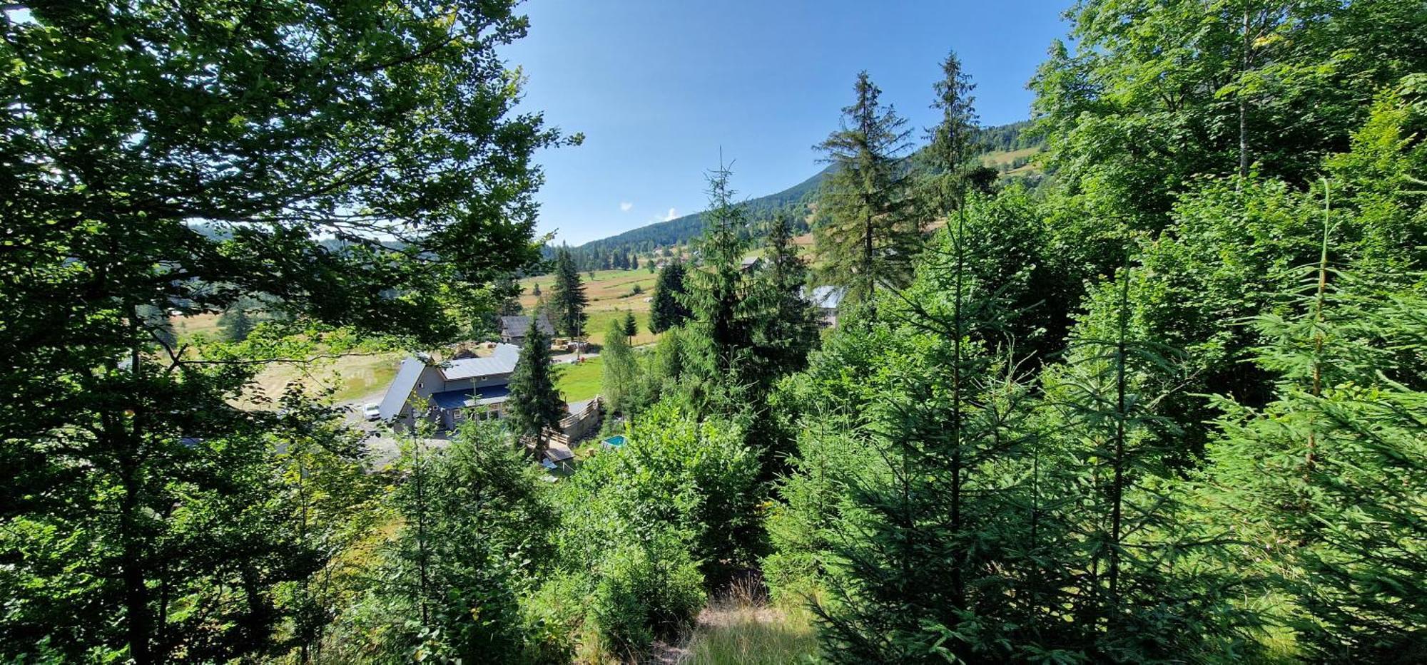 Cabana Din Vale Arieseni Apuseni Exterior foto